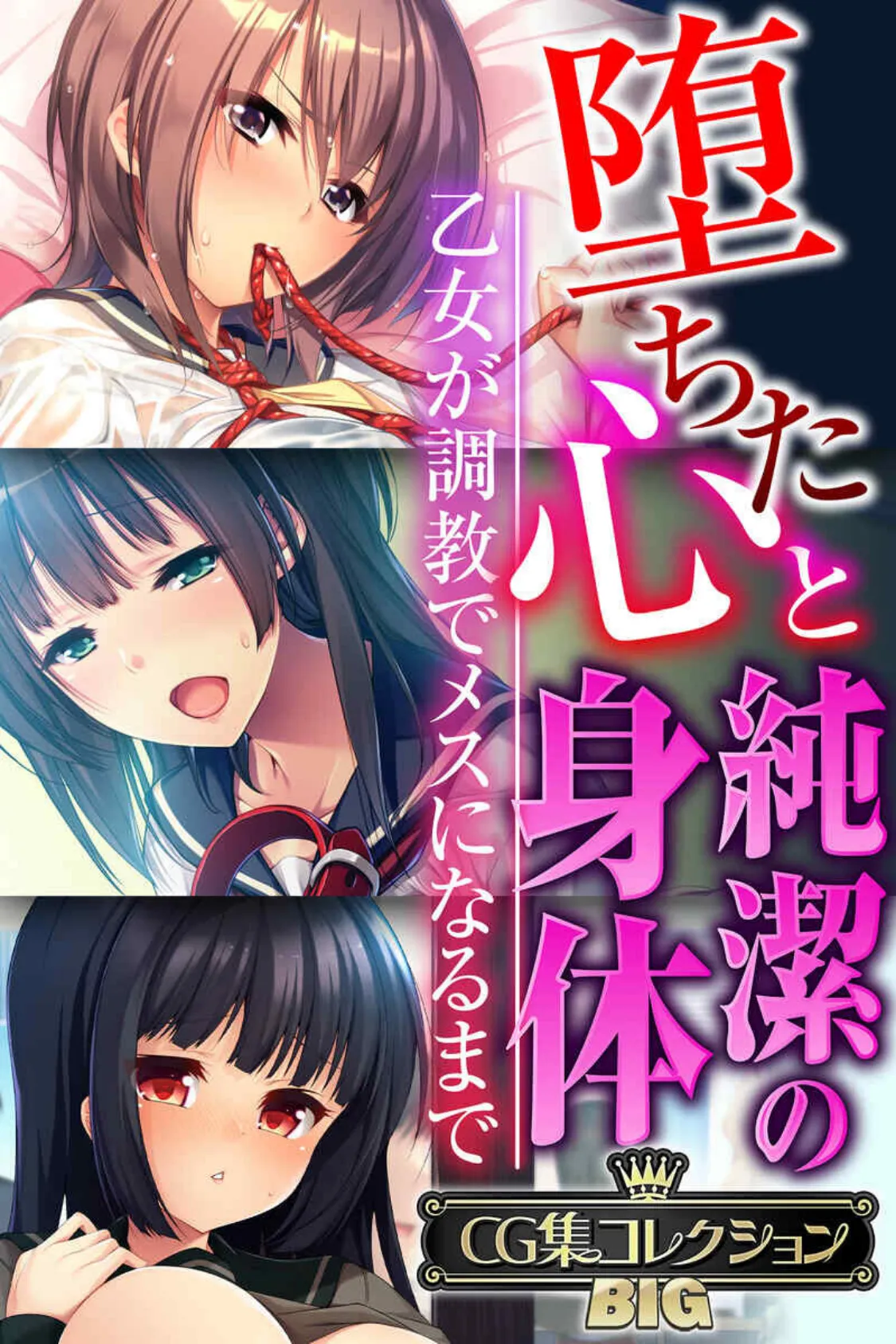 堕ちた心と純潔の身体〜乙女が調教でメスになるまで〜【CG集コレクションBIG】 1ページ