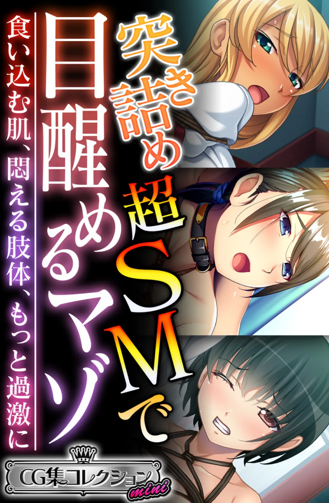 突き詰め超SMで目醒めるマゾ〜食い込む肌、悶える肢体、もっと過激に〜【CG集コレクション ミニ】 1ページ